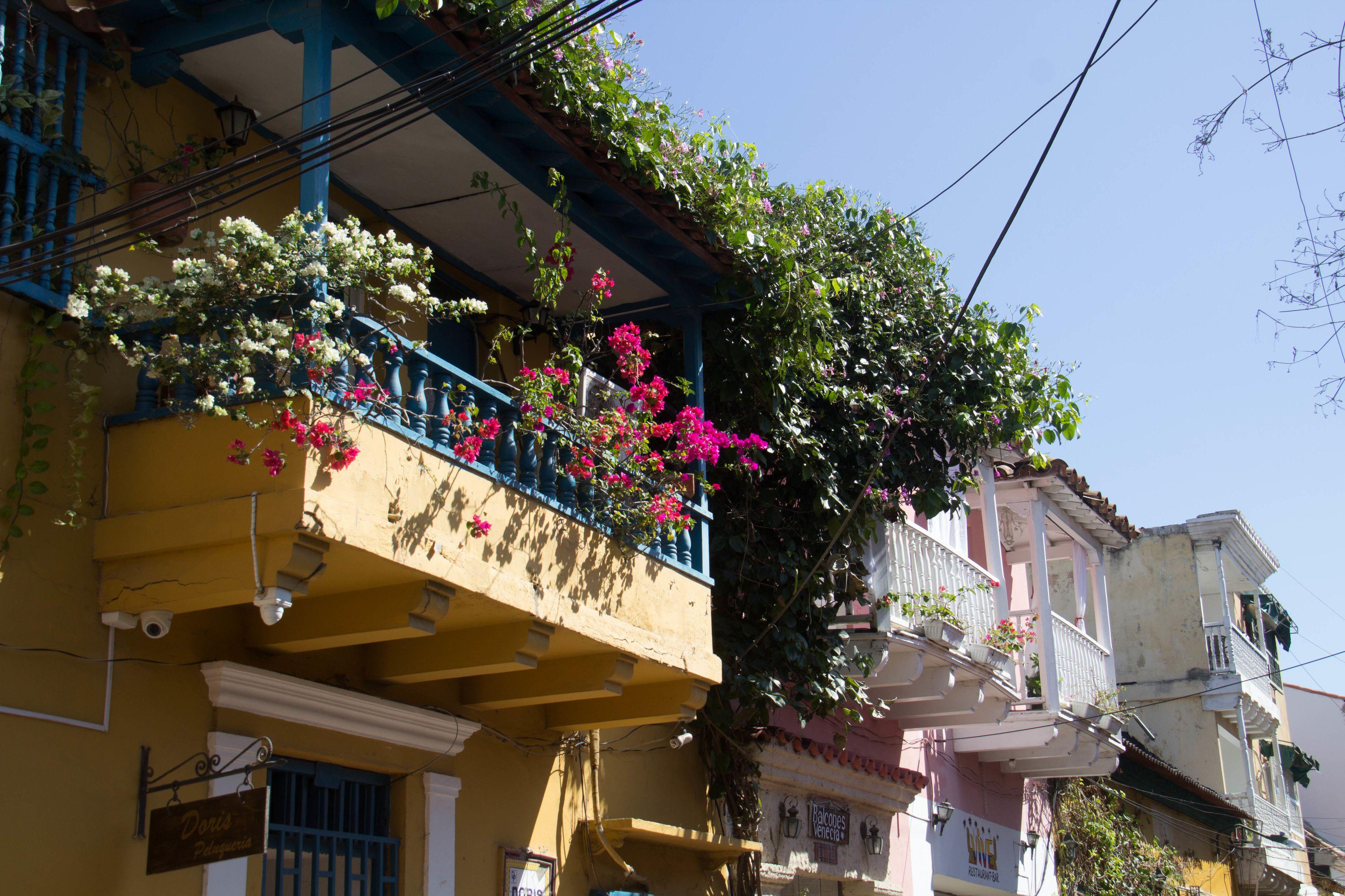 Balcones De Venecia — Photos 2